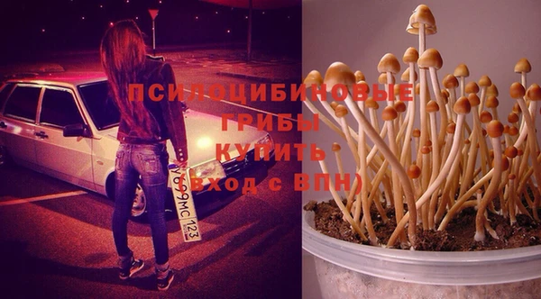 прущая мука Балабаново