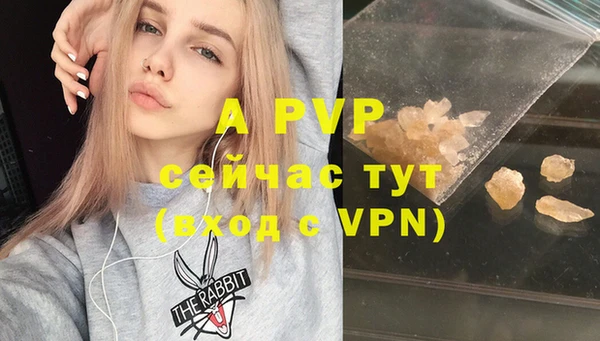 гидра Балахна