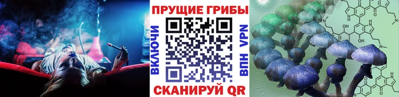 Галлюциногенные грибы Magic Shrooms  Купить закладки  Бор 